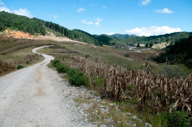 Maravillosas caminatas